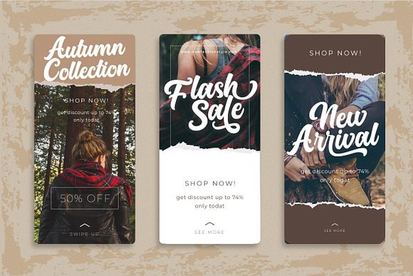 Platina Script // ALL VERSION in Script Fonts - product preview 11