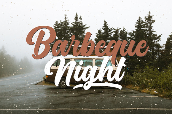Platina Script // ALL VERSION in Script Fonts - product preview 17