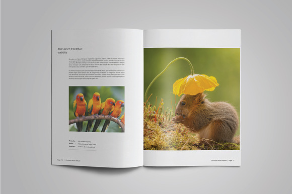 Photography Portfolio or Photo Album in Brochure Templates - product preview 9