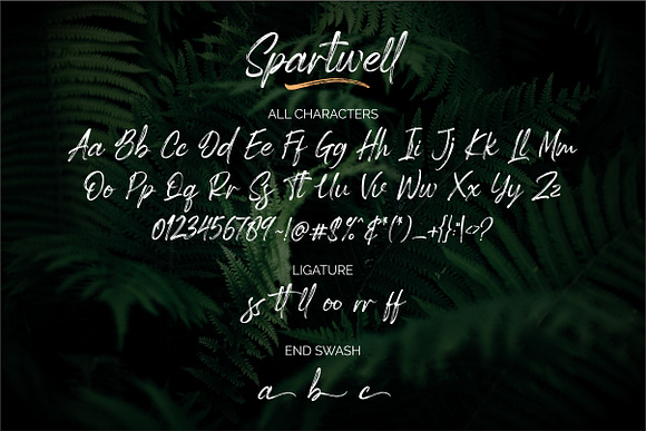 Spartwell |HANDWRITTEN BRUSH| in Script Fonts - product preview 10