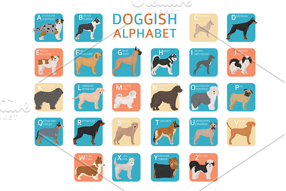 Doggish alphabet posters in Illustrations - product preview 1