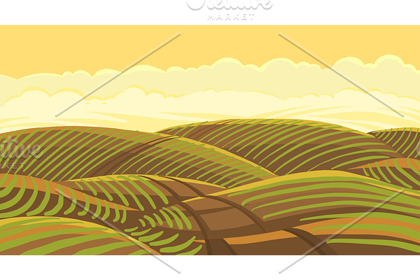 Field landscape. Agricultural