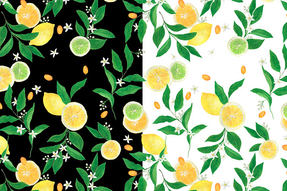 Citrus collection in Patterns - product preview 1