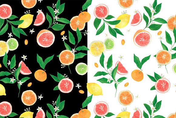 Citrus collection in Patterns - product preview 2