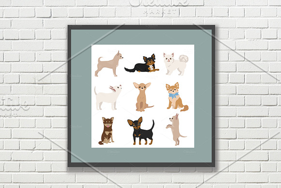 Chihuahua collection in Illustrations - product preview 1