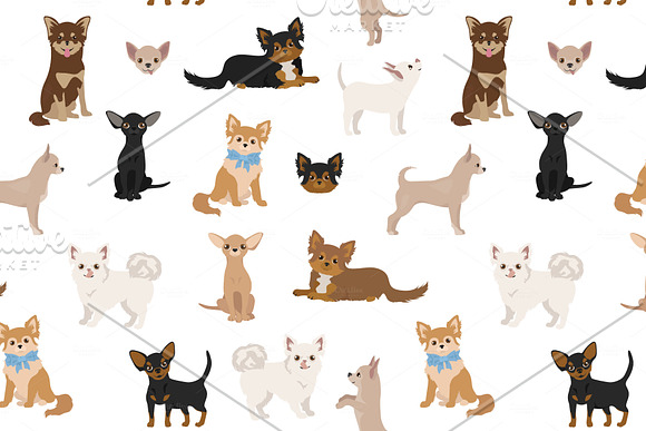 Chihuahua collection in Illustrations - product preview 2