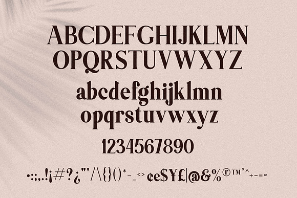 Themagic Serif Font + Bonus in Serif Fonts - product preview 9