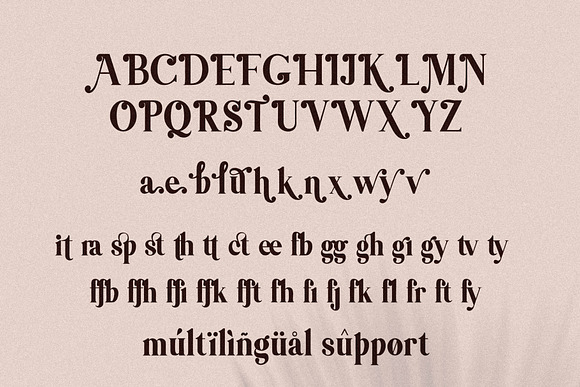 Themagic Serif Font + Bonus in Serif Fonts - product preview 10
