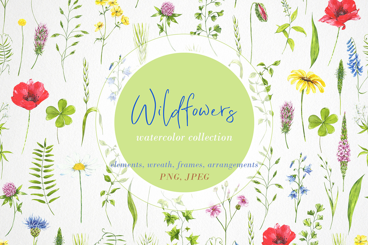 watercolor collection wildflowers in Illustrations - product preview 8
