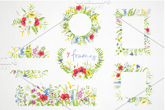 watercolor collection wildflowers in Illustrations - product preview 4
