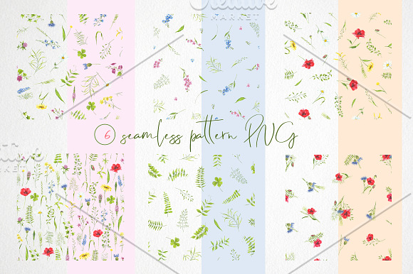 watercolor collection wildflowers in Illustrations - product preview 7