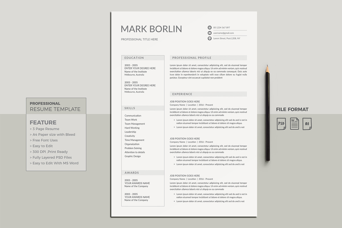 Resume Template/CV in Resume Templates - product preview 8