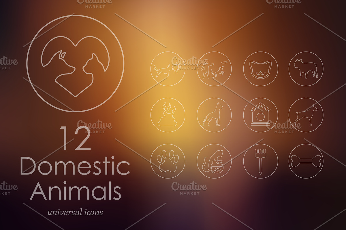 12 pets icons in Graphics - product preview 8