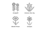 Wild flowers linear icons set