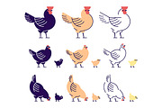 Chickens flat illustrations set