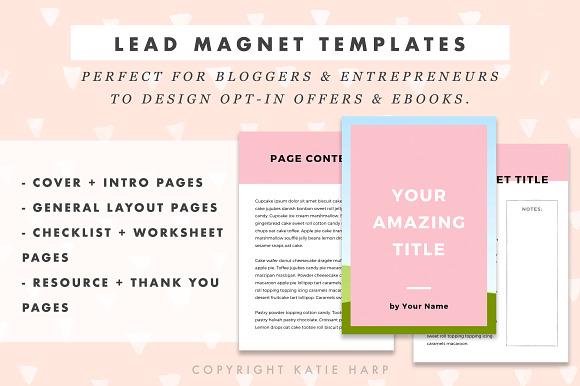 Lead Magnet Templates Lady Boss in Magazine Templates - product preview 1