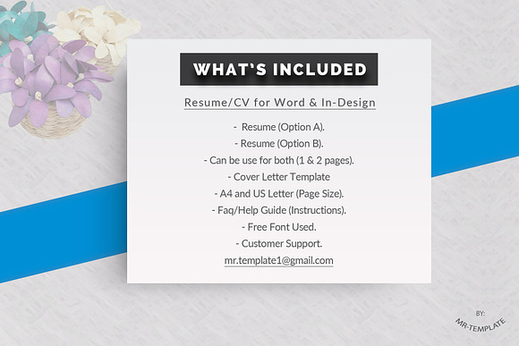 Resume Template / Cv in Letter Templates - product preview 3