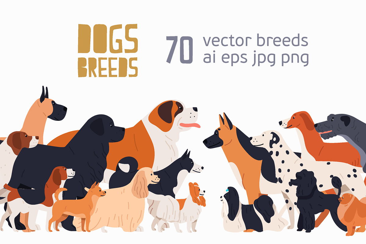 Dog breeds big collection in Illustrations - product preview 8