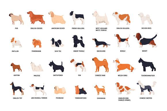 Dog breeds big collection in Illustrations - product preview 1