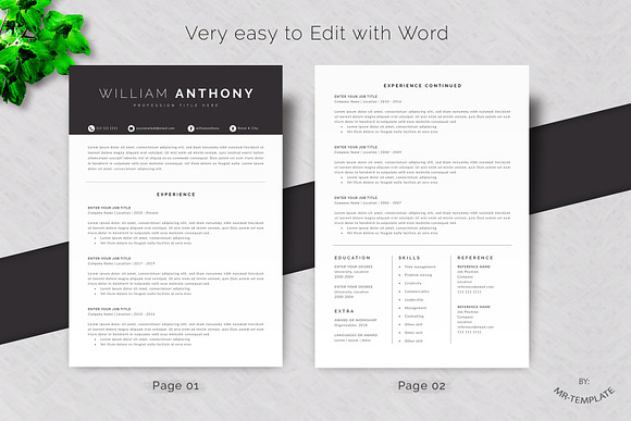 Resume /Cv Template 4 Pages Word in Letter Templates - product preview 1