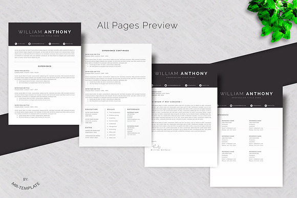 Resume /Cv Template 4 Pages Word in Letter Templates - product preview 3