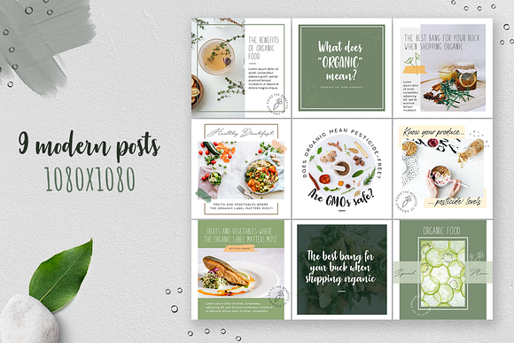 Organic Instagram Template in Instagram Templates - product preview 1