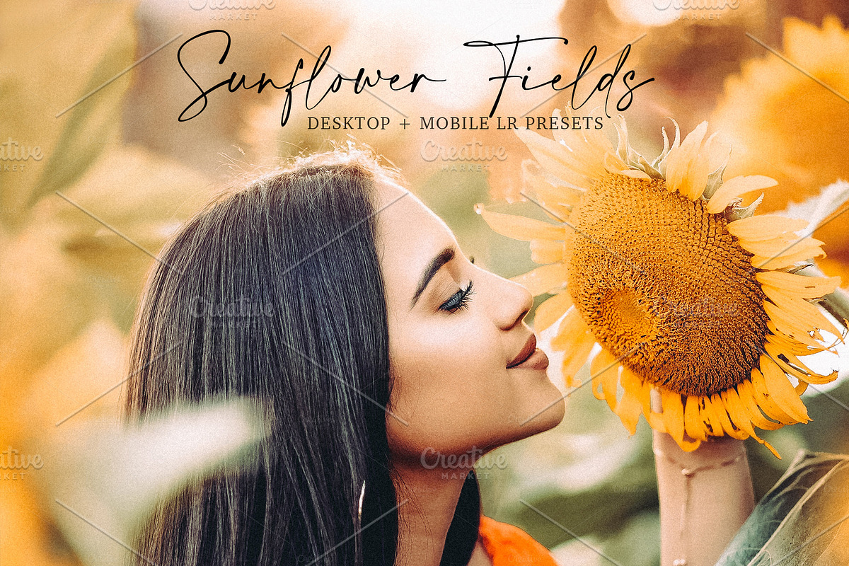 Sunflower Fields Presets | Bundle in Add-Ons - product preview 8