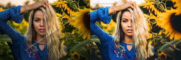 Sunflower Fields Presets | Bundle in Add-Ons - product preview 3