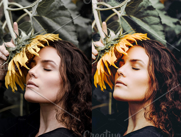 Sunflower Fields Presets | Bundle in Add-Ons - product preview 9