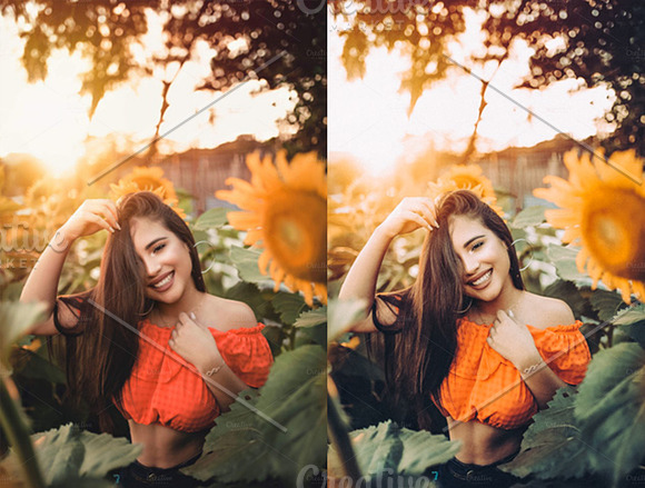Sunflower Fields Presets | Bundle in Add-Ons - product preview 10