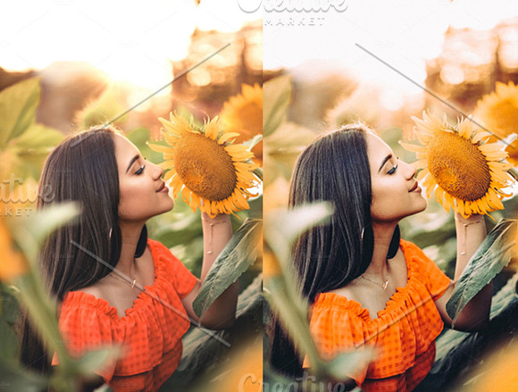 Sunflower Fields Presets | Mobile in Add-Ons - product preview 2