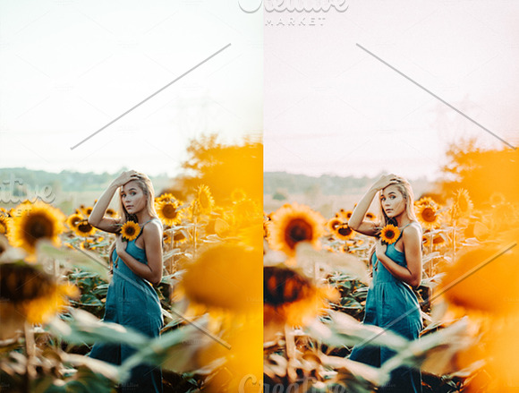 Sunflower Fields Presets | Mobile in Add-Ons - product preview 7