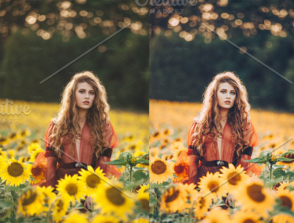 Sunflower Fields Presets | Mobile in Add-Ons - product preview 9