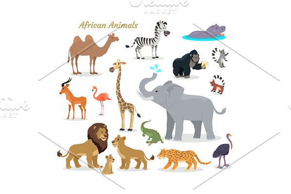 African Fauna Species. Cute Animals