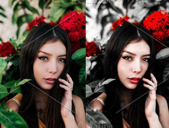 LR Presets | Garden of Eden in Add-Ons - product preview 3