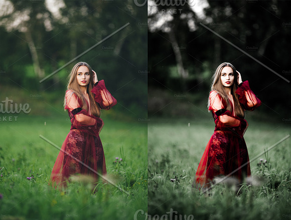 LR Presets | Garden of Eden in Add-Ons - product preview 6