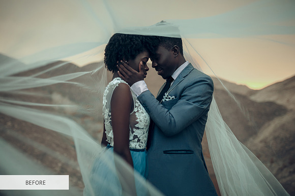 Matte Wedding Presets in Add-Ons - product preview 2