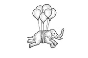 Elephant flies on balloons sketch