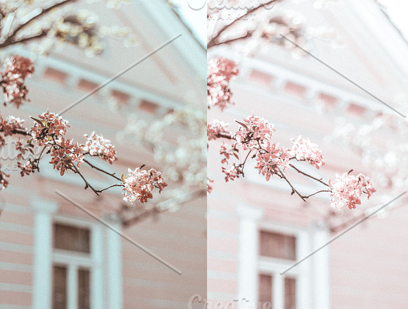 Spring Collection Lightroom Presets in Add-Ons - product preview 7
