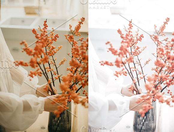 Spring Collection Lightroom Presets in Add-Ons - product preview 12