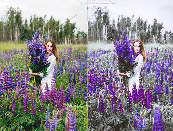 Spring Collection Lightroom Presets in Add-Ons - product preview 26