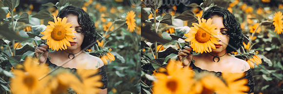 Spring Collection Lightroom Presets in Add-Ons - product preview 35
