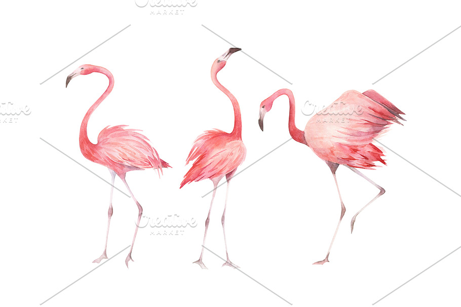 Watercolor Flamingos Set in Objects - product preview 8