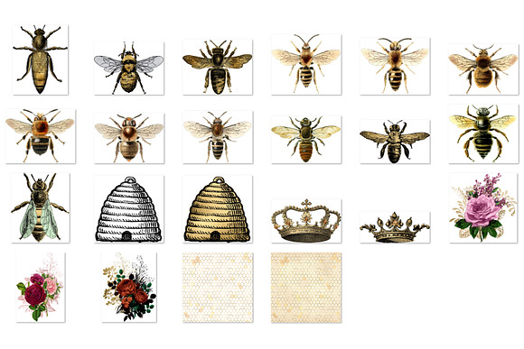 Royal Bees Clipart in Illustrations - product preview 2