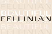 Fellinian / Wide High-Contrast Sans