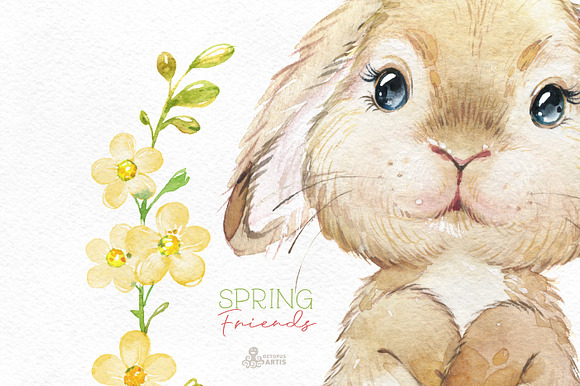 Spring Friends. Watercolor set. in Illustrations - product preview 4