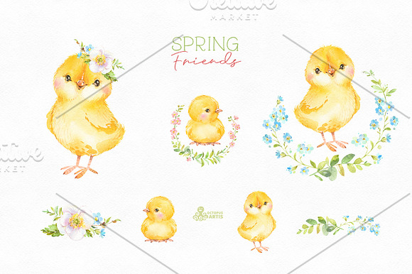 Spring Friends. Watercolor set. in Illustrations - product preview 5