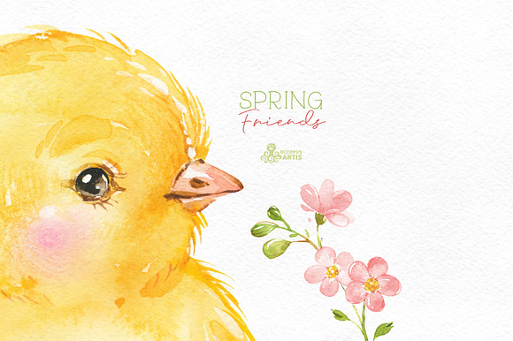 Spring Friends. Watercolor set. in Illustrations - product preview 6