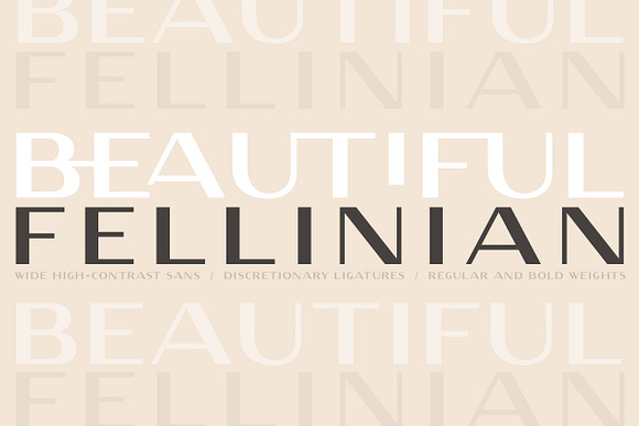 Fellinian / Wide High-Contrast Sans in Sans-Serif Fonts - product preview 16