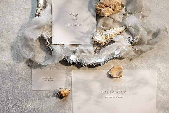 Saltwater Luxe Stock Photos in Print Mockups - product preview 1